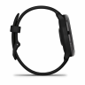 Умные часы GARMIN VIVOACTIVE 6 Slate With Black Band 010-02985-00